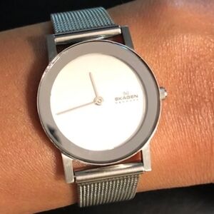 Skagen Silver Mesh Watch